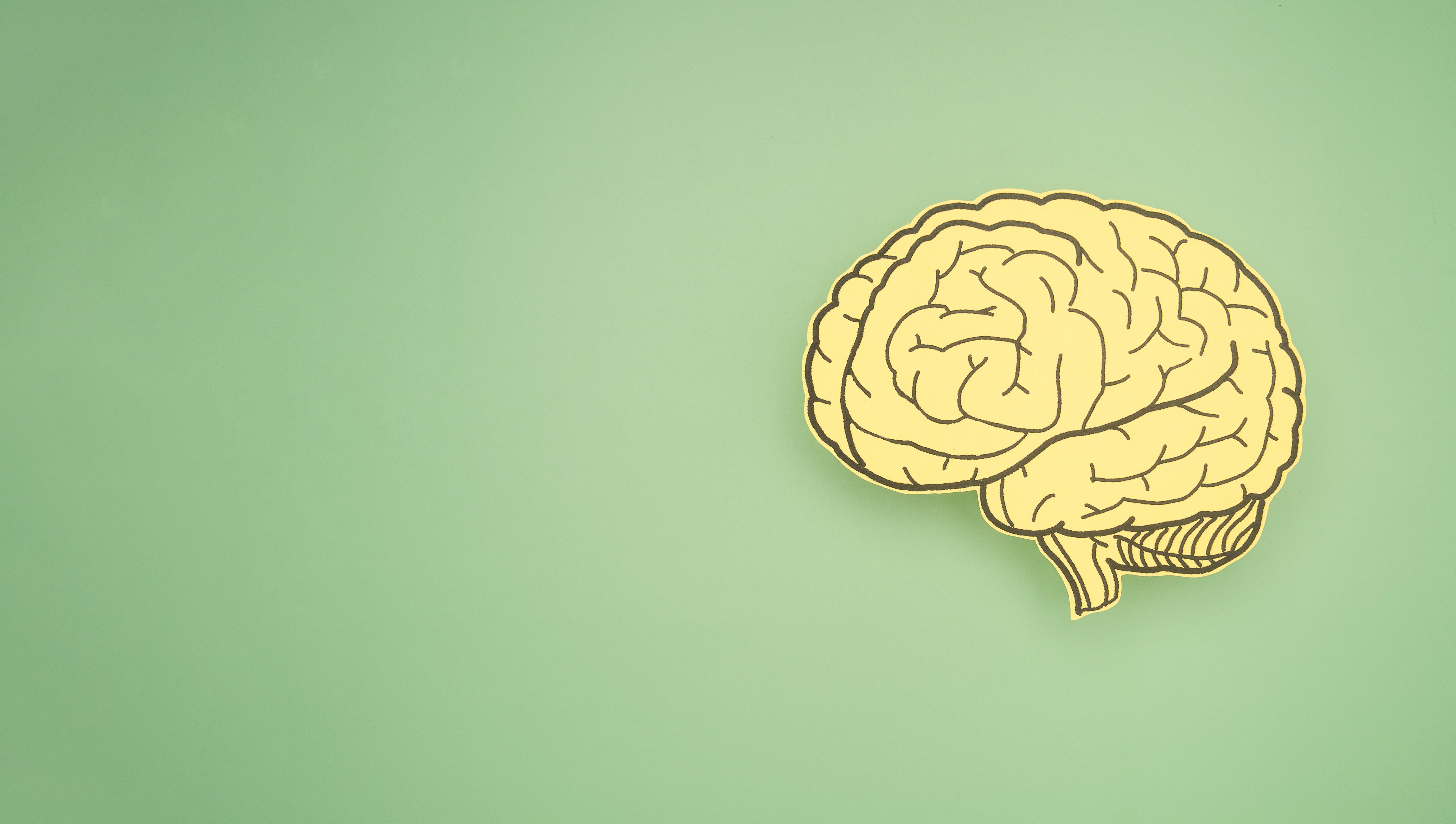 //www.sonderly.io/_im/post/t22362/sgfi22367/0/0/article_image_brainhacks.jpeg