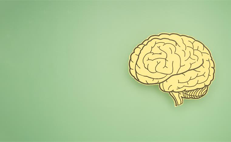 //www.sonderly.io/_im/post/t22362/sgfi22367/761/469/article_image_brainhacks.jpeg